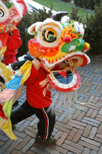 WThe traditional Chinese Lion Dance