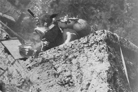 Photo of diver