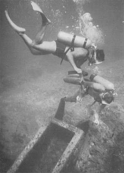 Photo of divers