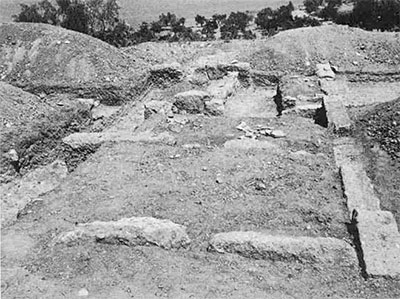 Photo of excavation area
