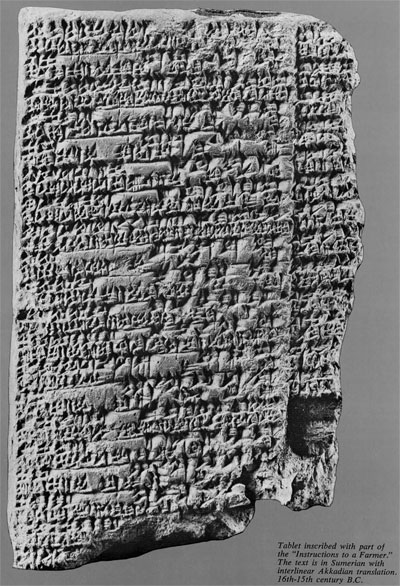 Tablet covered in lines of cuneiform inscriptions.