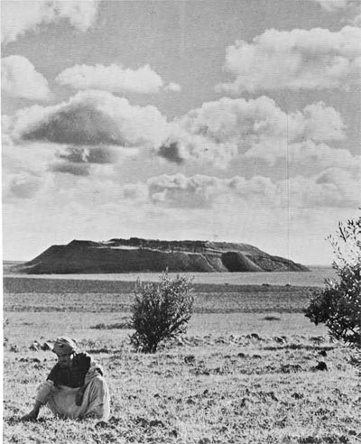 A field of grain in Iraq, a man sitting in the grain in the foreground, the Tell in the distance. 