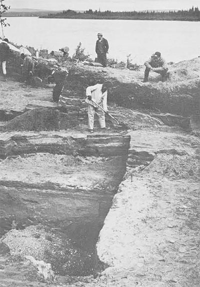 The excavations at Onion Portage looking toward the Kobuk River. This photograph shows some of the distinct levels of occupation and the broad bands of sterile sand separating occupation levels. 