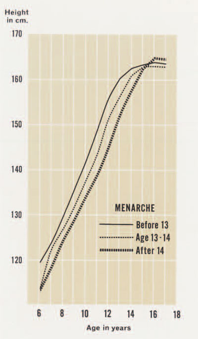 menarche_human_physical_growth