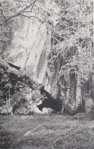 The eastern entrance to Yengema Cave showing the huge slab of fallen rock that roofs the enclosure.