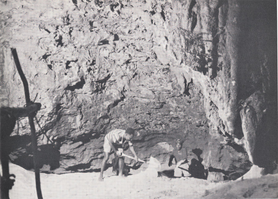 Excavation of one of the shallow limestone caves on Santa Ana Island. Artifacts and other indications of human user were found in the sand floor to a depth of 235cm. Charcoal taken between 70 and 130 cm. has been dated A.D. 675; samples from other caves are dated earlier.