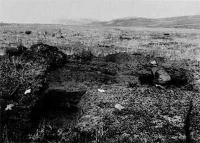 The test pit of the shallow, 24 by 40 foot house. The part of the test pit in the foreground has already been dug beneath the floor, and shows the midden to be about one foot thick.