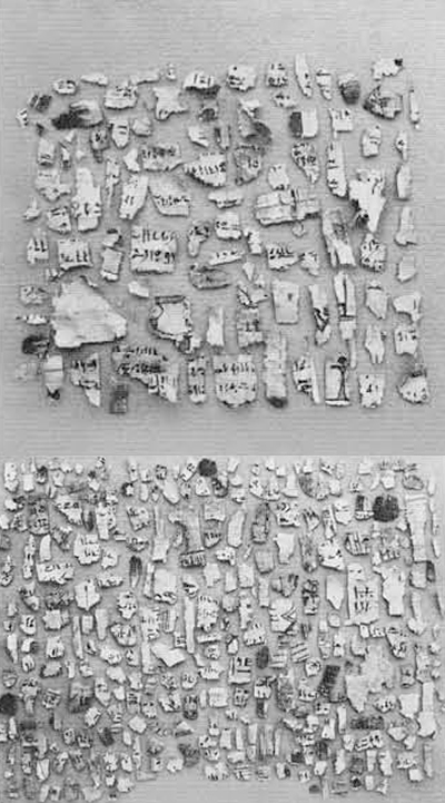 A large assortment of small papyrus fragments laid out on table.
