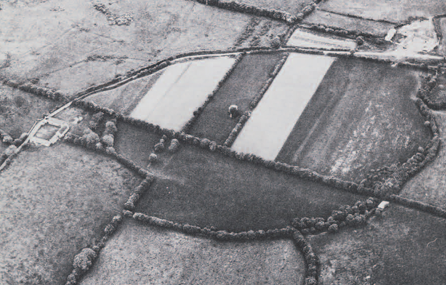 Togher, Co. Tipperary. A large oval enclosure: see ext for details. 