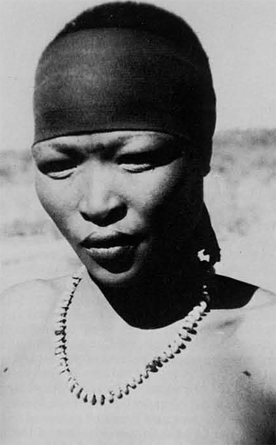 Portrait of a typical Bushman (woman): note the triangularly shaped face and light colored skin; the slit eyes, heavy eyelids and prominent cheekbones are strongly mongoloid in character. 