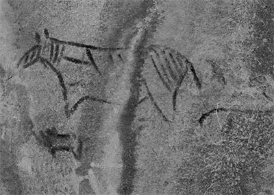 One of the Bushman rock paintings. It clearly represents a zebra, an animal common in the regions,. Other animal rock paintings represent rhinoceros which no longer occur in southern Africa except for a few rare reports from widely scattered spots. The age of thee rock paintings has never been really determined—some may be quite recent, others are said to be thousands of years old. 