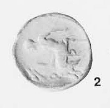 Tarantum over Corinth: rear legs of Pegasus and koppa at bottom.