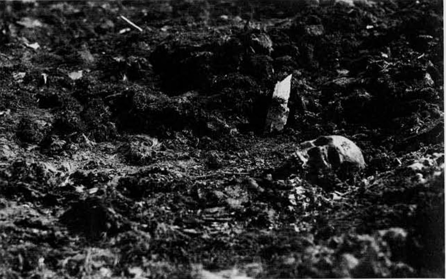 Point Barrow skeleton, Hopson excavations, 1929.