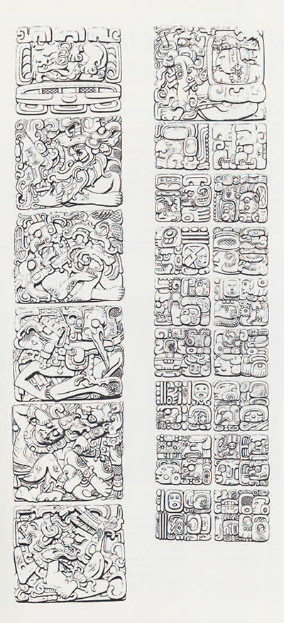 Anne Hunter's drawing of the east side of Stela D at Quirigua. (Biologia Centrali-Americana, Pl. 25)