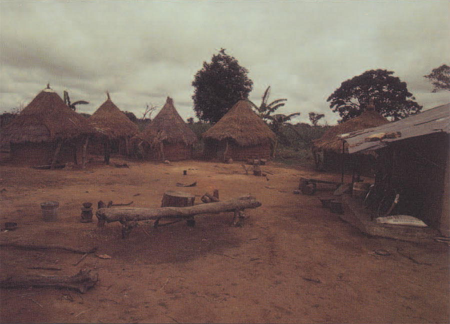 Figure 1. A Kfyar compound, with five circular huts and one rectangular structure visible. Compounds tend to be circular, with one hut per adult and specialized huts for beer brewing, cooking, and sometimes storage.