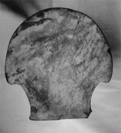 Flat axe head in a shell shape.