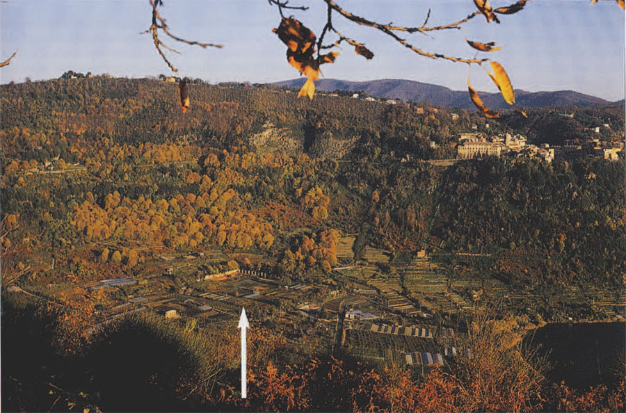 Fig. 4. The Sanctuary of Diana (arrowed) by Lake Nemi; above to the right lies the town of Nemi with Castello Ruspoli.