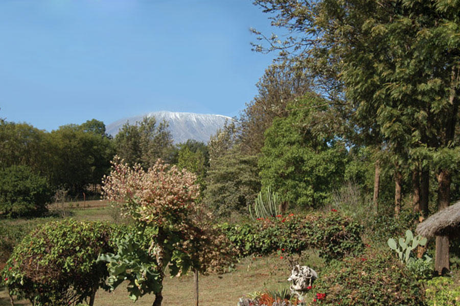 Kilimanjaro is the tallest mountain in Africa, with an elevation of 19,340 feet. The view from the Kibo Slopes hotel in Loitokitok shows the snow-covered Kibo peak. A bleached elephant skull sits in the garden.