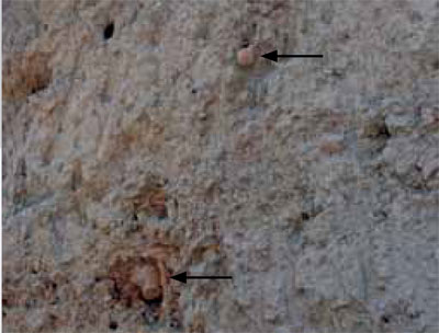 northern_mound_deposits_closeup