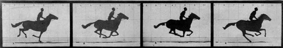 Several versions of “The Horse in Motion” photographed by Eadweard Muybridge in 1878 are available in the University Archives.