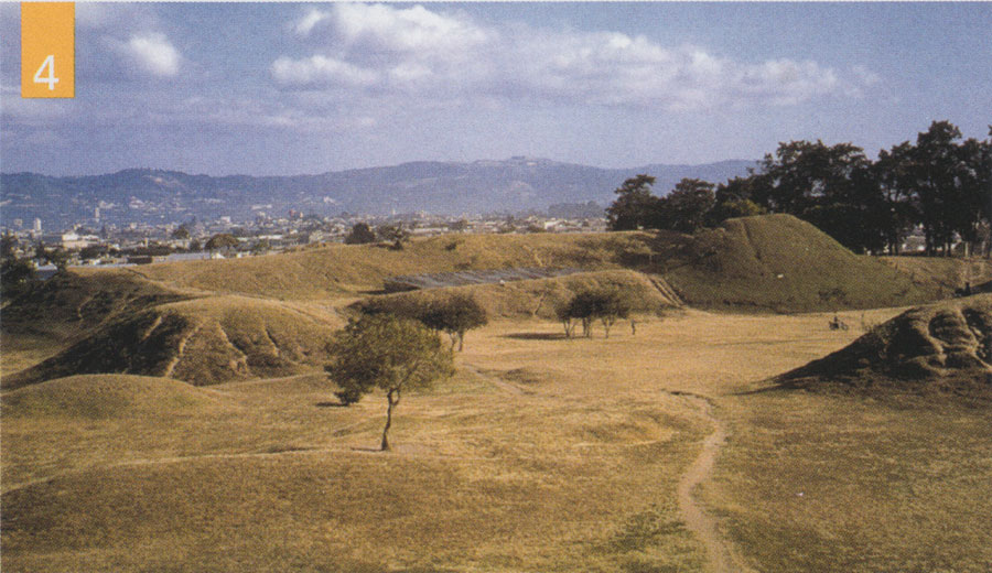 View of a field, a few low lying trees scattered about, a winding path leads into the distance.