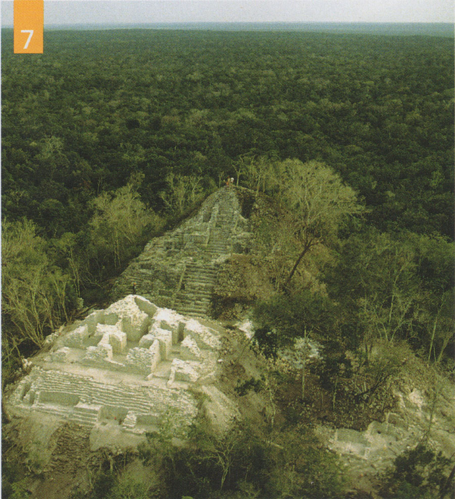 Aerial view of Calakmul ruins.