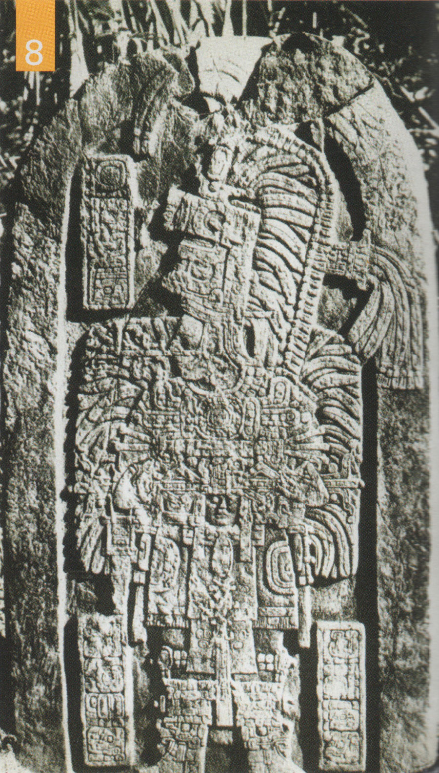 Maya stela depicting a king.