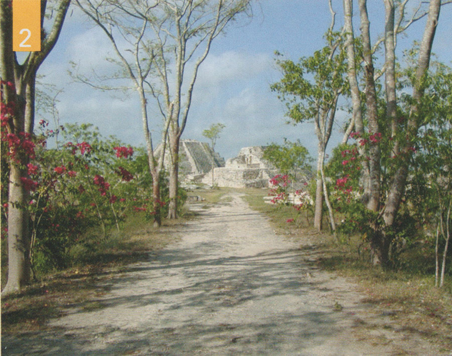 A wooded path leading to pyramid ruins at Mayapan.