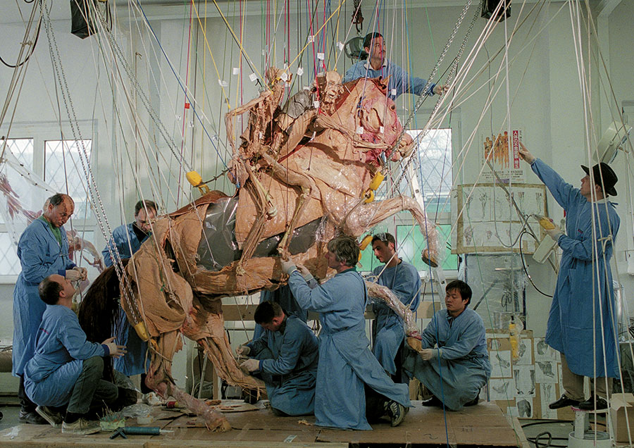 A team of people in blue medical gowns posing a musculature of two people riding a rearing horse, wires and ropes holding various elements up.
