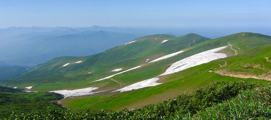 Green grassy slopes of Mount Gasson.