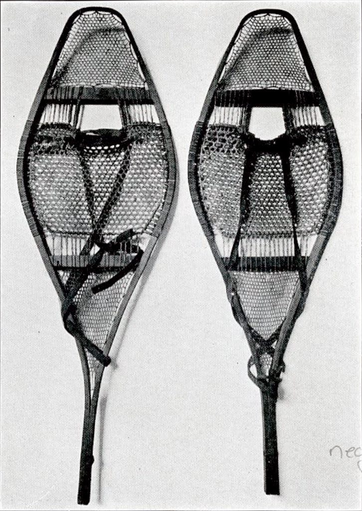 A pair of angular snowshoes
