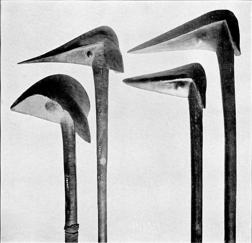 A set of four wooden clubs with ends in the shapes of bird heads and beaks
