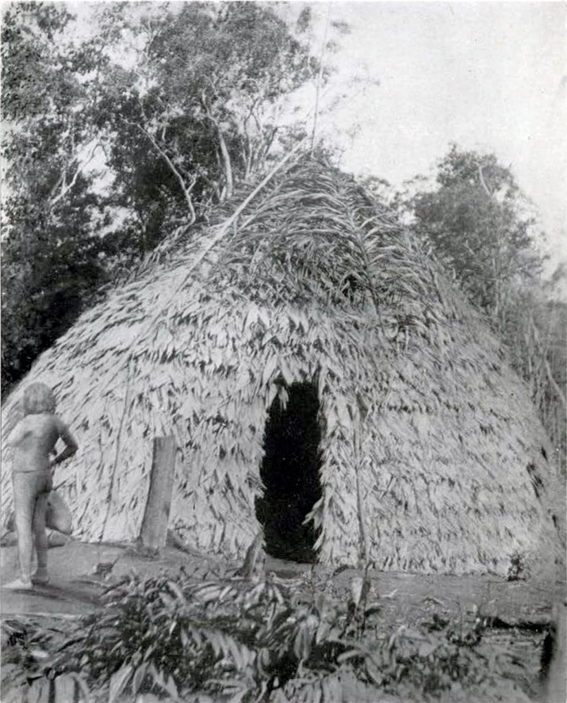 An Arawak hut made of leaves