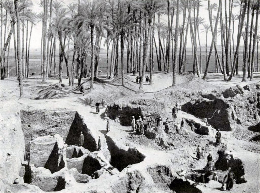 A large group of men amongst barely excavated ruins next to a grove of palms
