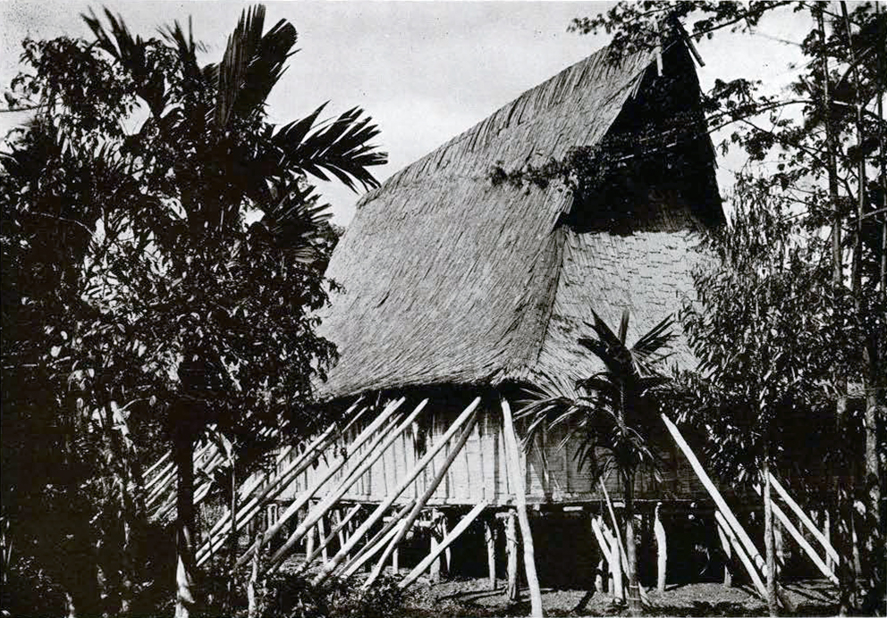 A house on stilts with poles stabilizing it and roof made of leaves