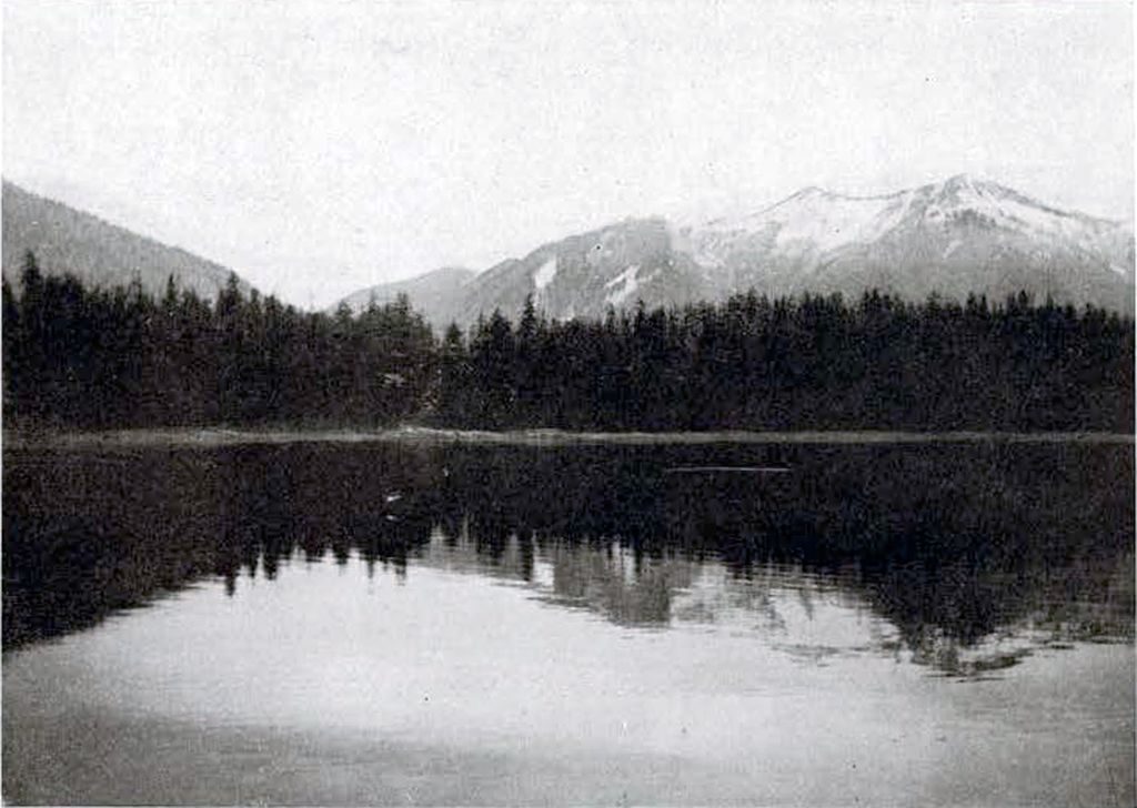 View of Alaskan coastline from water, with trees along the shore and mountains in the distances