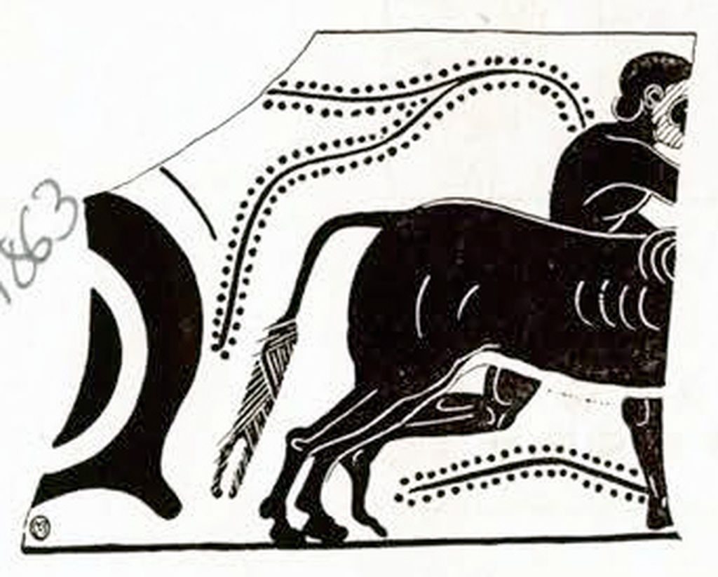 Drawing of a fragment of a kyathos showing the back half of a bull and Herkales alongside it