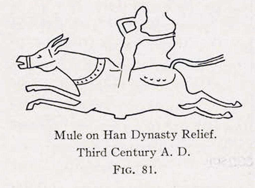 Drawing of a relief of a mule and rider