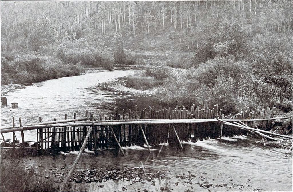 A barricade or damn across a river made of wooden poles