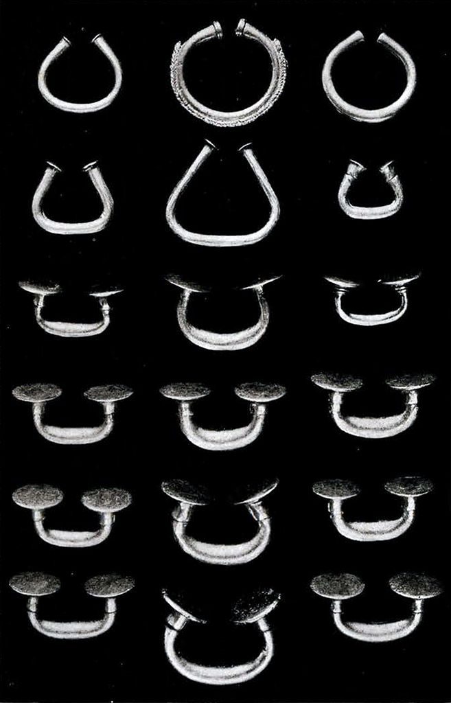 A set of eighteen nose rings in various shapes
