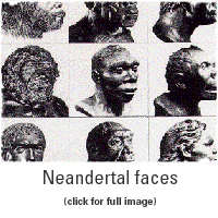 Neandertal faces