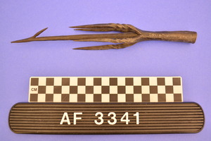 AF3341