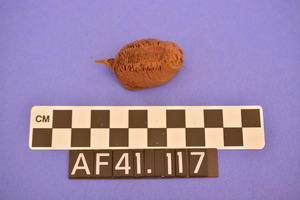 AF41.117