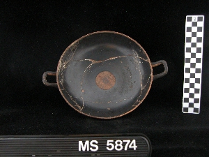 MS5874