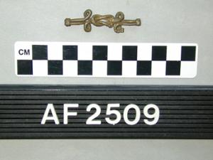 AF2509