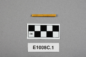 E1008C.1