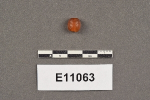 E11063