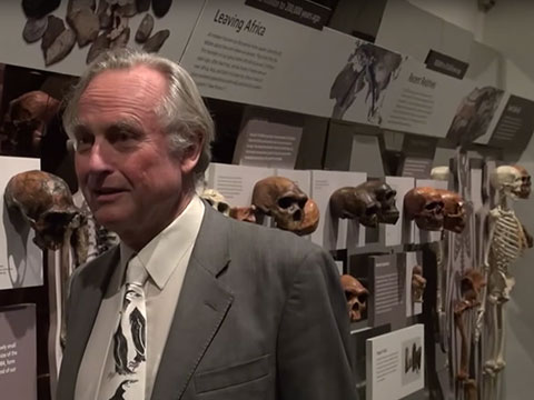 Dr. Dawkins visited the Museum's exhibition, Human Evolution: The First 200 Million Years thumbnail.
