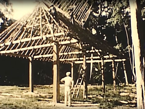 Tikal Project - 1959 #2 thumbnail.