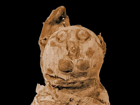 Ancient Egyptian Mummies Get Cat Scanned thumbnail.